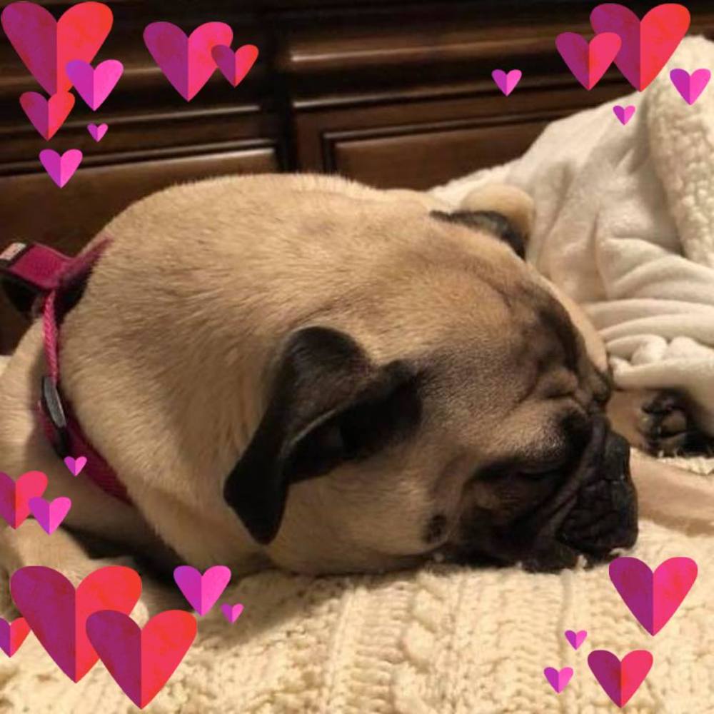 Meet your Posher, Courtney